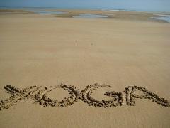 116377564 1 copie 1