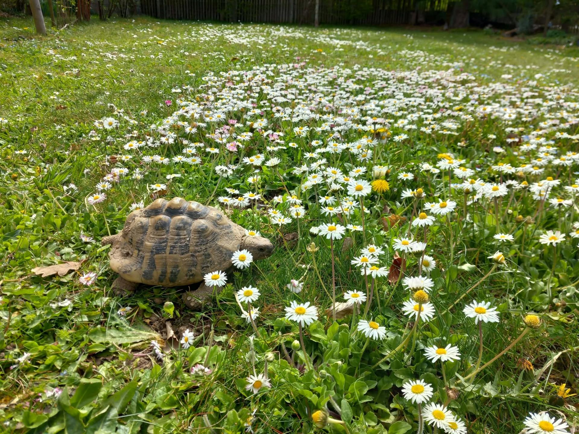 @ La parenthèse yoga